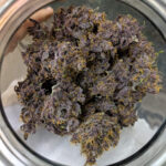 Nasiona marihuany Purple Lemonade Auto Fast Buds