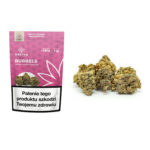 Susz konopny Bubbels Sativa Poland