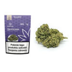 Susz konopny Tropicana Sativa Poland