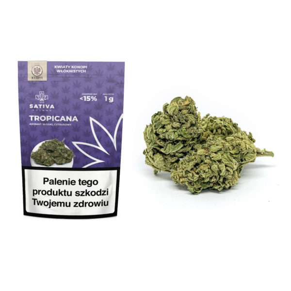 Susz konopny Tropicana Sativa Poland