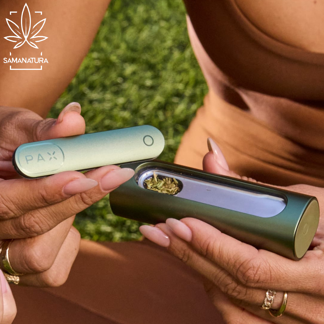 Nowy PAX Flow: Co nowego w najnowszym waporyzatorze od PAX Labs?