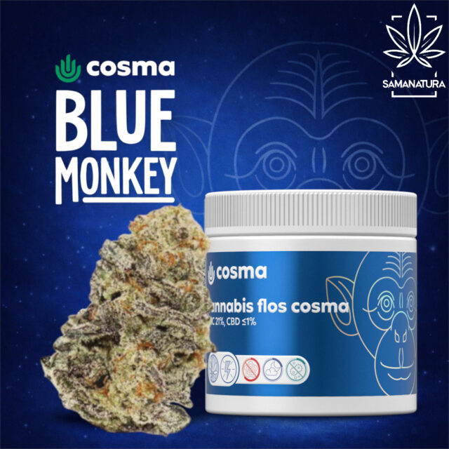 Blue Monkey Cosma pojawia się ponownie w aptekach w nowej odsłonie