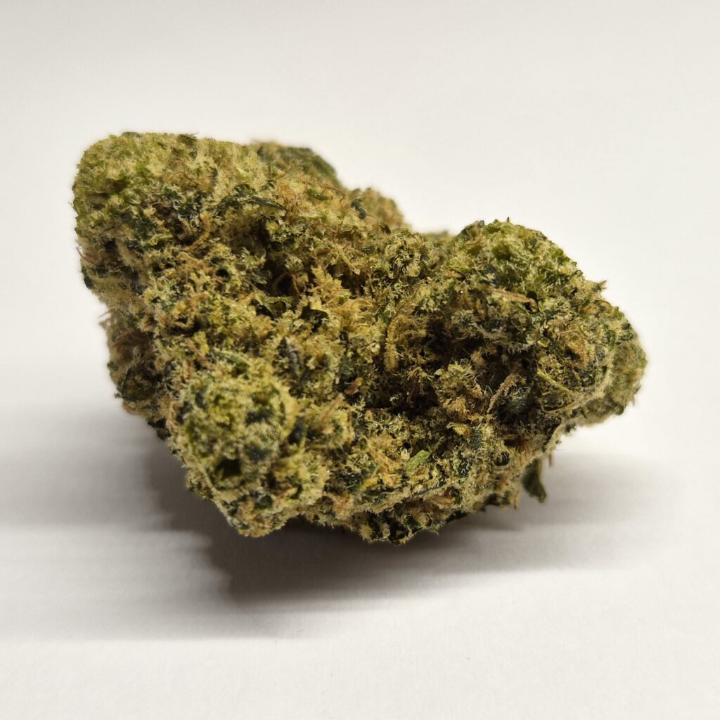 Medyczna marihuana Snowtorious Krypton Spectrum Therapeutics