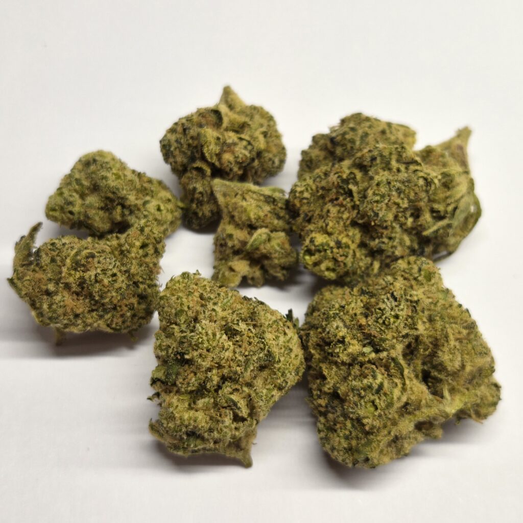 Medyczna marihuana Snowtorious Krypton Spectrum Therapeutics
