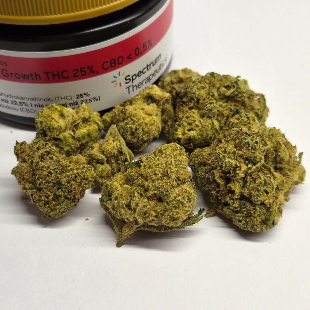 Medyczna marihuana Snowtorious Krypton Spectrum Therapeutics