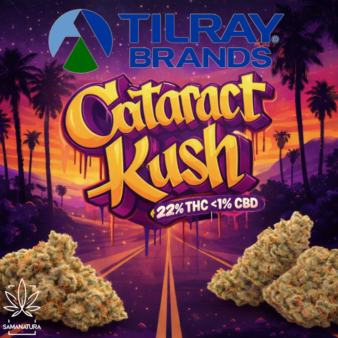 Cataract Kush 22% THC od Tilray – potężna Indica DNA Genetics wchodzi do polskich aptek
