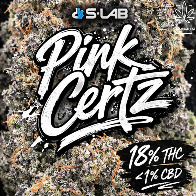 Nowy Pink Certz od S-LAB to odmiana o mentolowym charakterze i energetycznym profilu