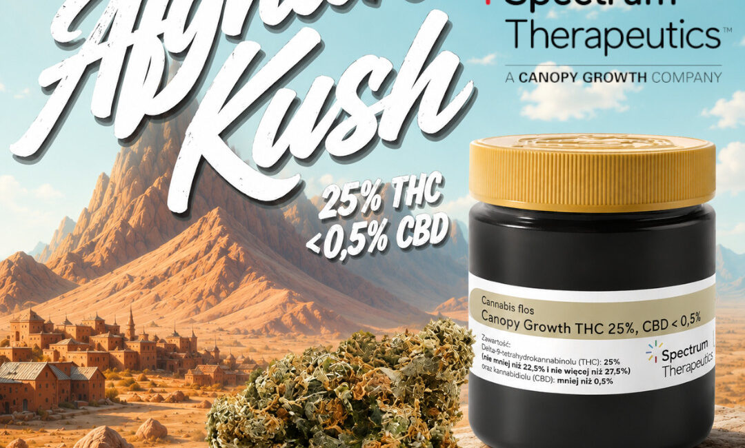 Afghan Kush Canopy Growth – opis odmiany, THC, terpeny i pochodzenie