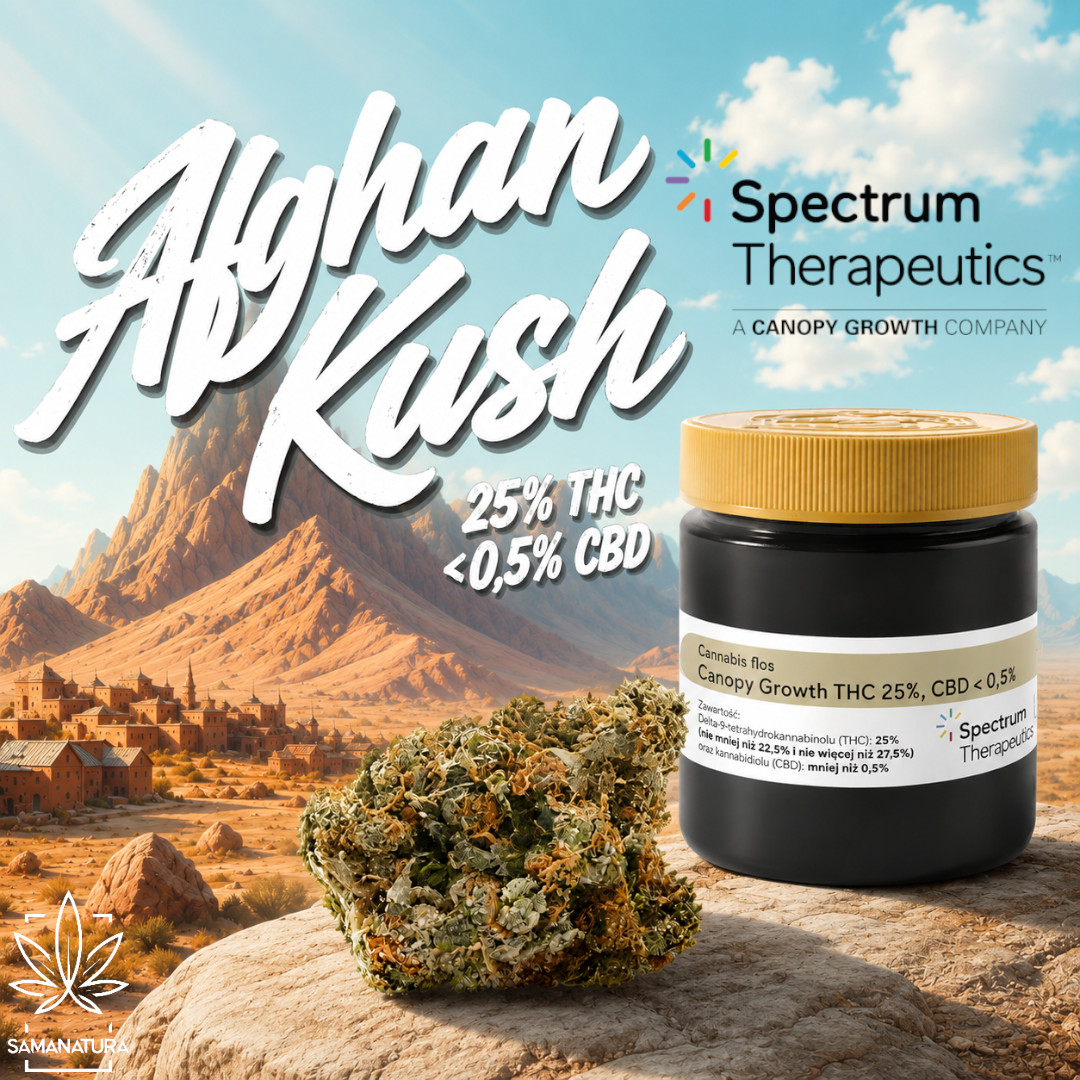Afghan Kush Canopy Growth – opis odmiany, THC, terpeny i pochodzenie