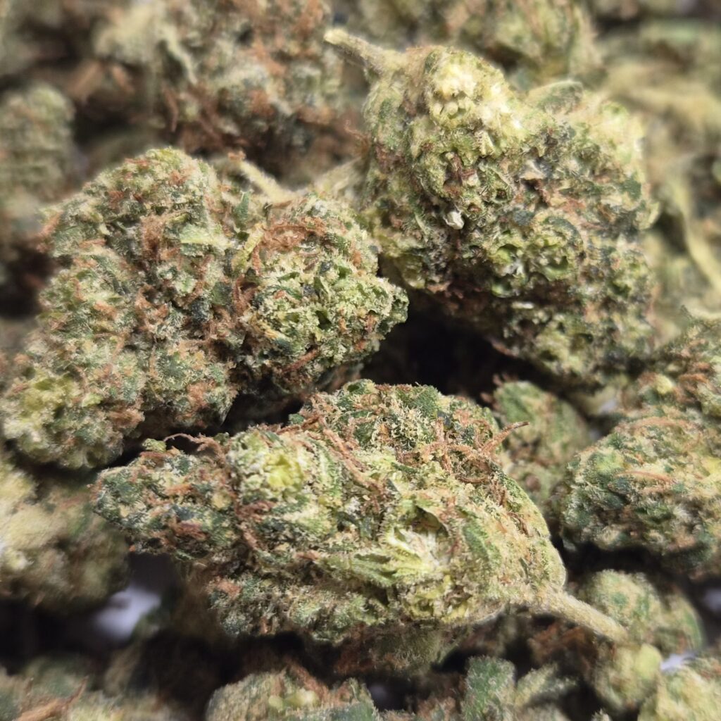 Medyczna marihuana Afghan Kush 25% THC