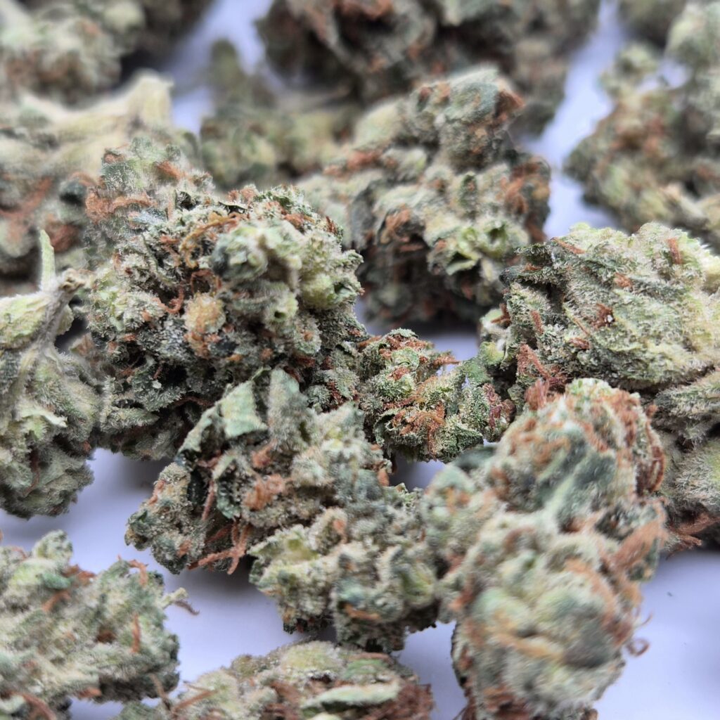 Medyczna marihuana OG Kush 22% THC 1% CBD Bliss Pharma