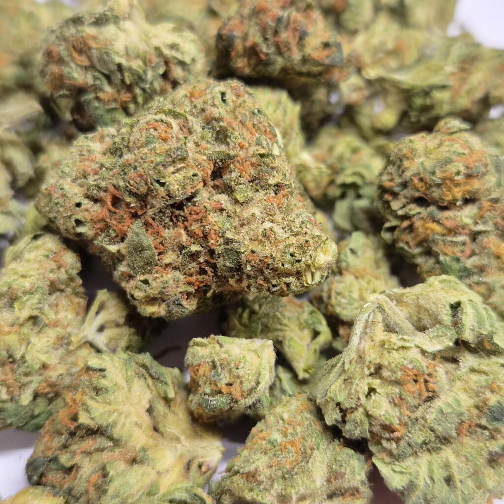 Medyczna marihuana Strawberry OG Bliss Pharma