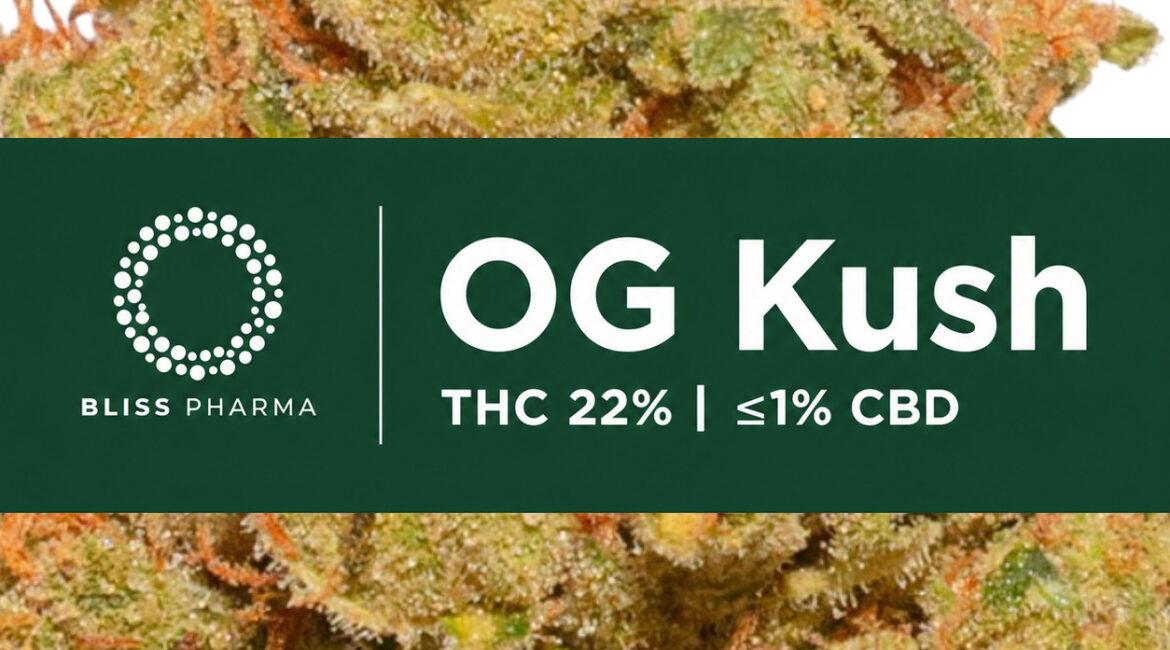 Poznaj kultową OG Kush 22% THC od Bliss Pharma