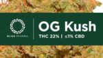 Poznaj kultową OG Kush 22% THC od Bliss Pharma