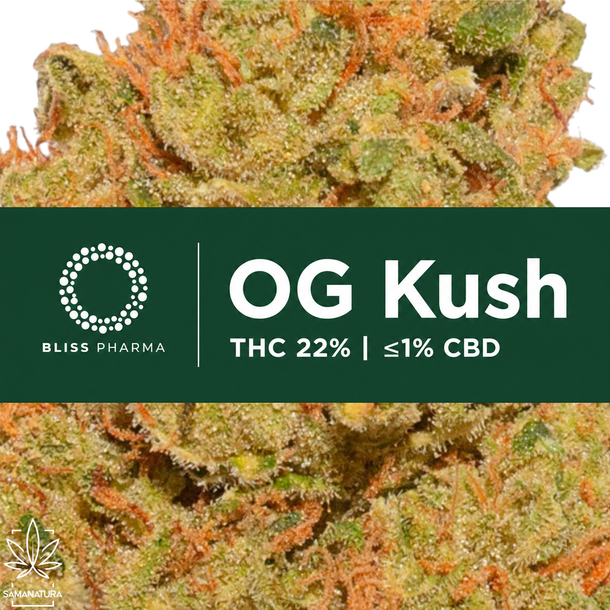 Poznaj kultową OG Kush 22% THC od Bliss Pharma