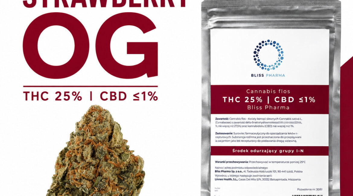 Strawberry OG Bliss Pharma – charakterystyka, THC 25% i owocowy aromat