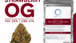 Strawberry OG Bliss Pharma – charakterystyka, THC 25% i owocowy aromat