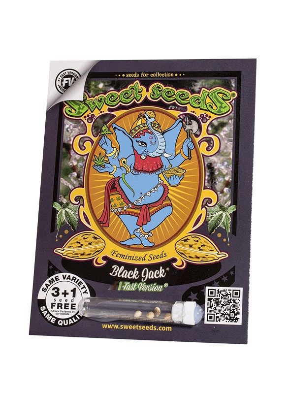 Black Jack F1 Fast Version Sweet Seeds