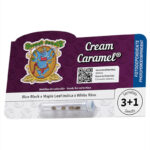 Nasiona marihuany Cream Caramel F1 Fast Version Sweet Seeds