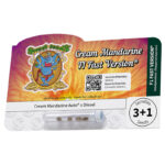 Nasiona marihuany Cream Mandarine F1 Fast Version Sweet Seeds