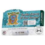 Nasiona marihuany Gorilla Sherbet F1 Fast Version Sweet Seeds