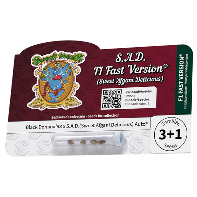 Nasiona marihuany S.A.D. Sweet Afgani Delicious F1 Fast Version Sweet Seeds