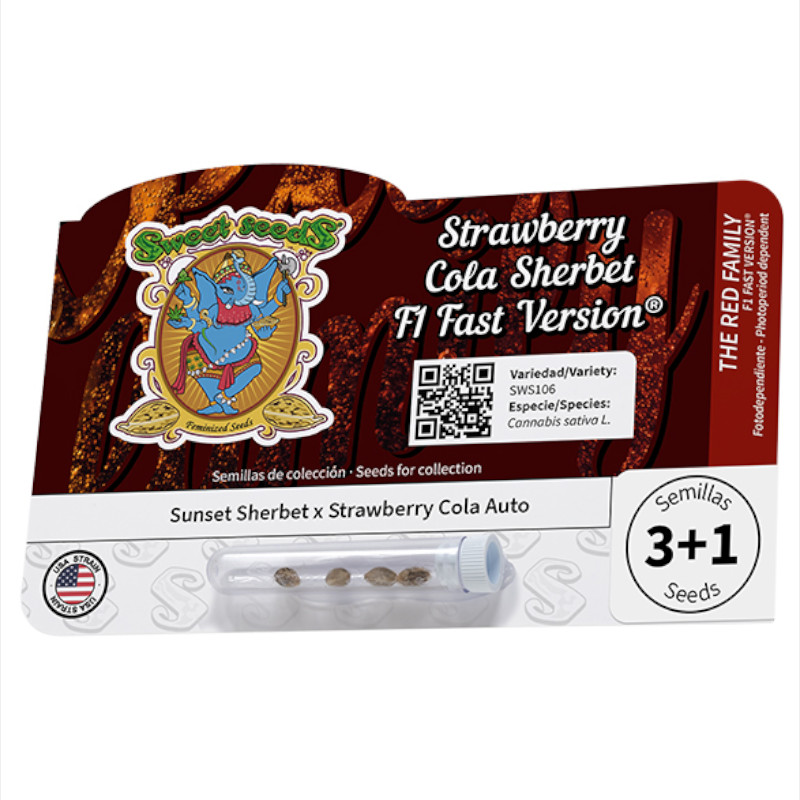 Nasiona marihuany Strawberry Cola Sherbet F1 Fast Version Sweet Seeds