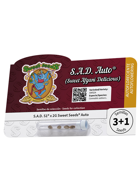 S.A.D. Sweet Afgani Delicious F1 Fast Version Sweet Seeds
